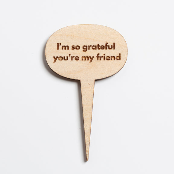 Mini Sign - I'm So Grateful You're My Friend - Urban Sprouts