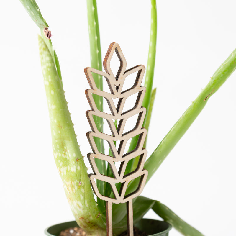 Mini diamond botanical trellis (6") - Urban Sprouts
