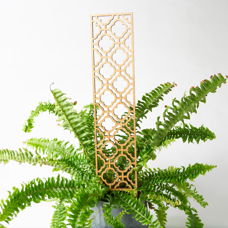 Mosaic trellis (Pine) - Urban Sprouts