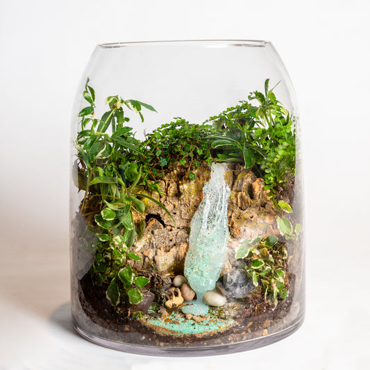 11.5" Dome Terrarium Vase