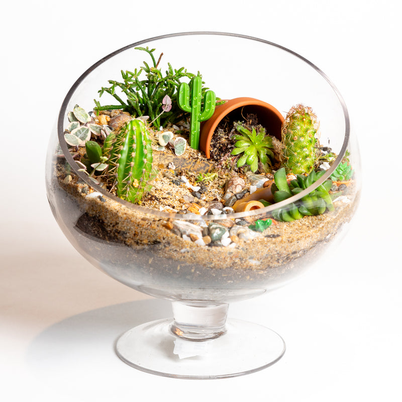 8.5" Slant Cut Terrarium with Stem