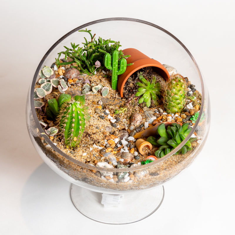 8.5" Slant Cut Terrarium with Stem