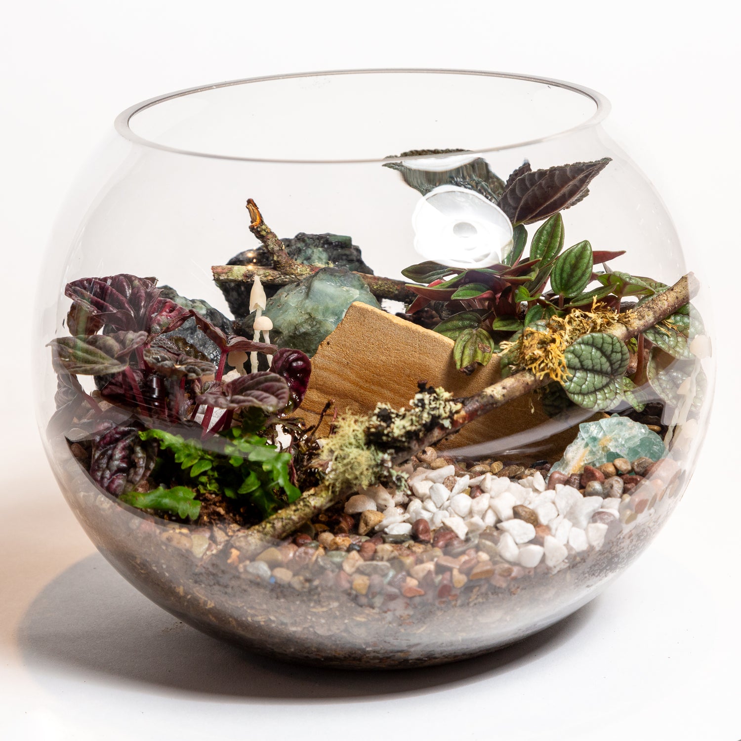 10" Fish Bowl Terrarium