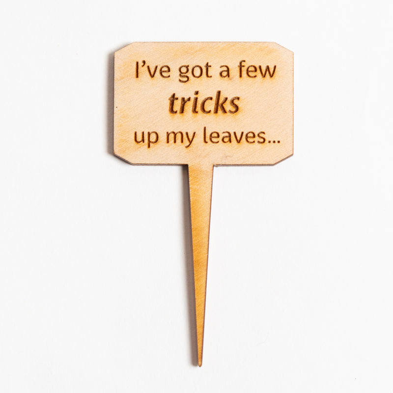 Mini Sign - I've got tricks