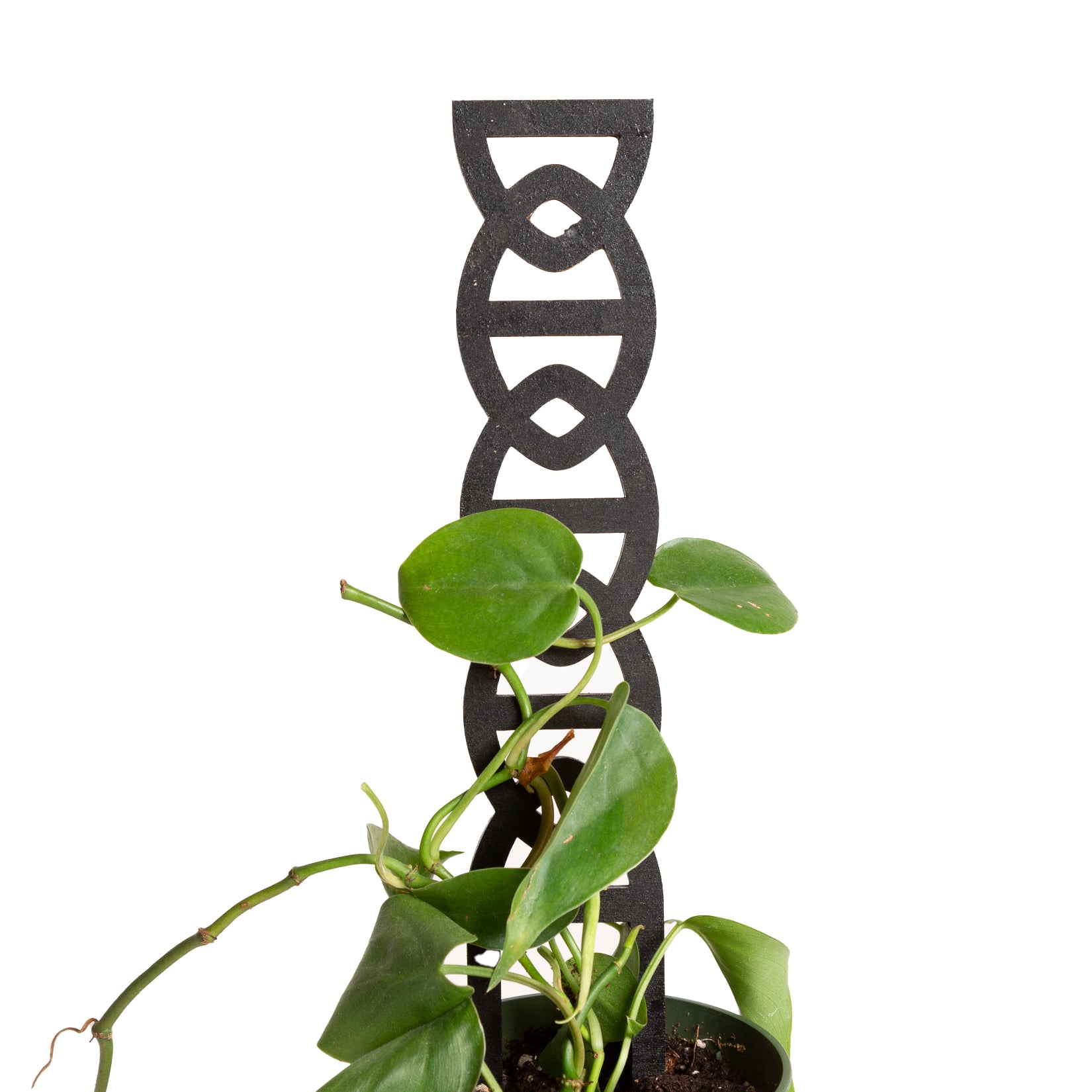 11" Hourglass Black Chain Link Trellis - Urban Sprouts