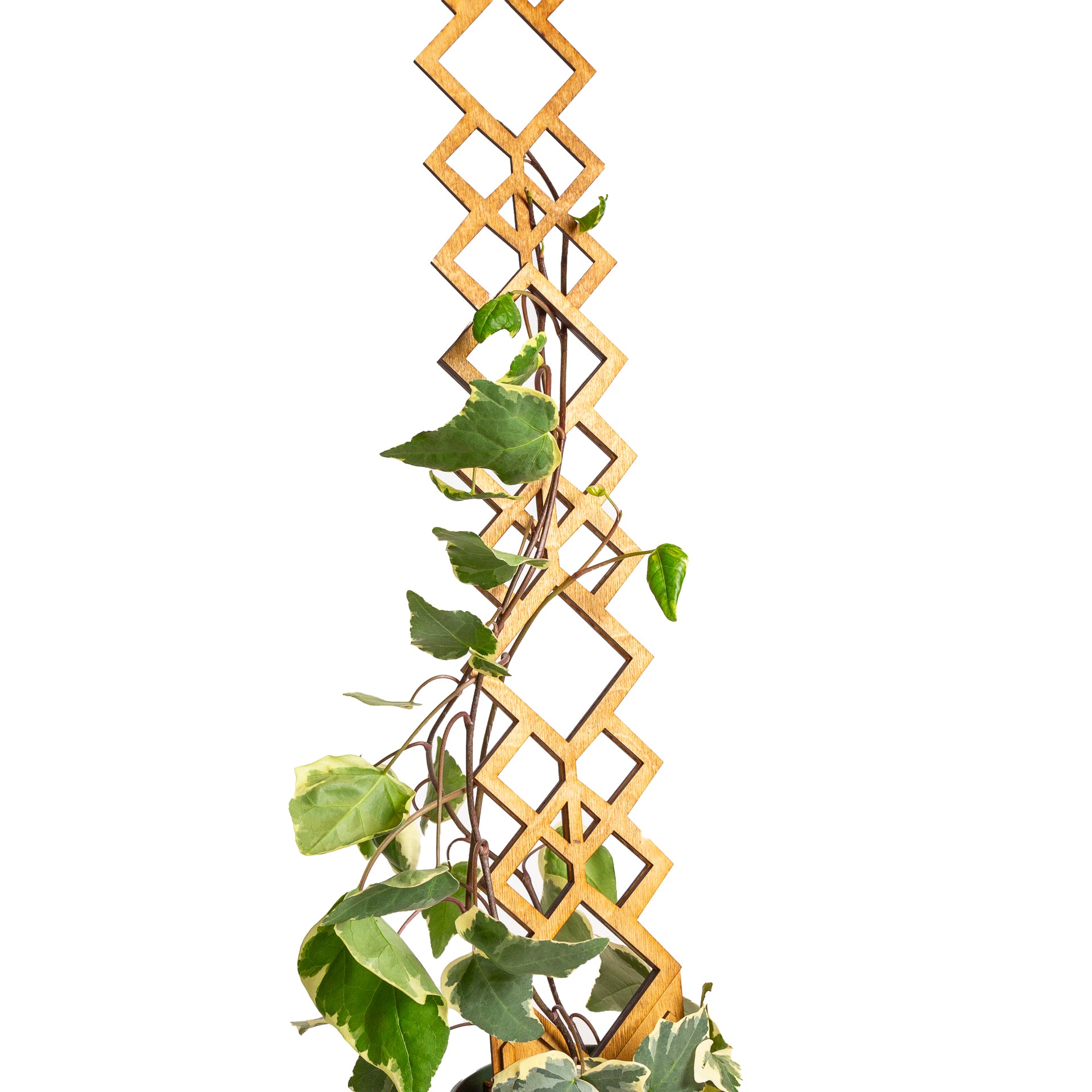 26" Pine Diamond Deco Trellis - Urban Sprouts