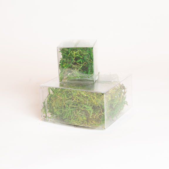 Preserved Moss Cube Large - Urban Sprouts