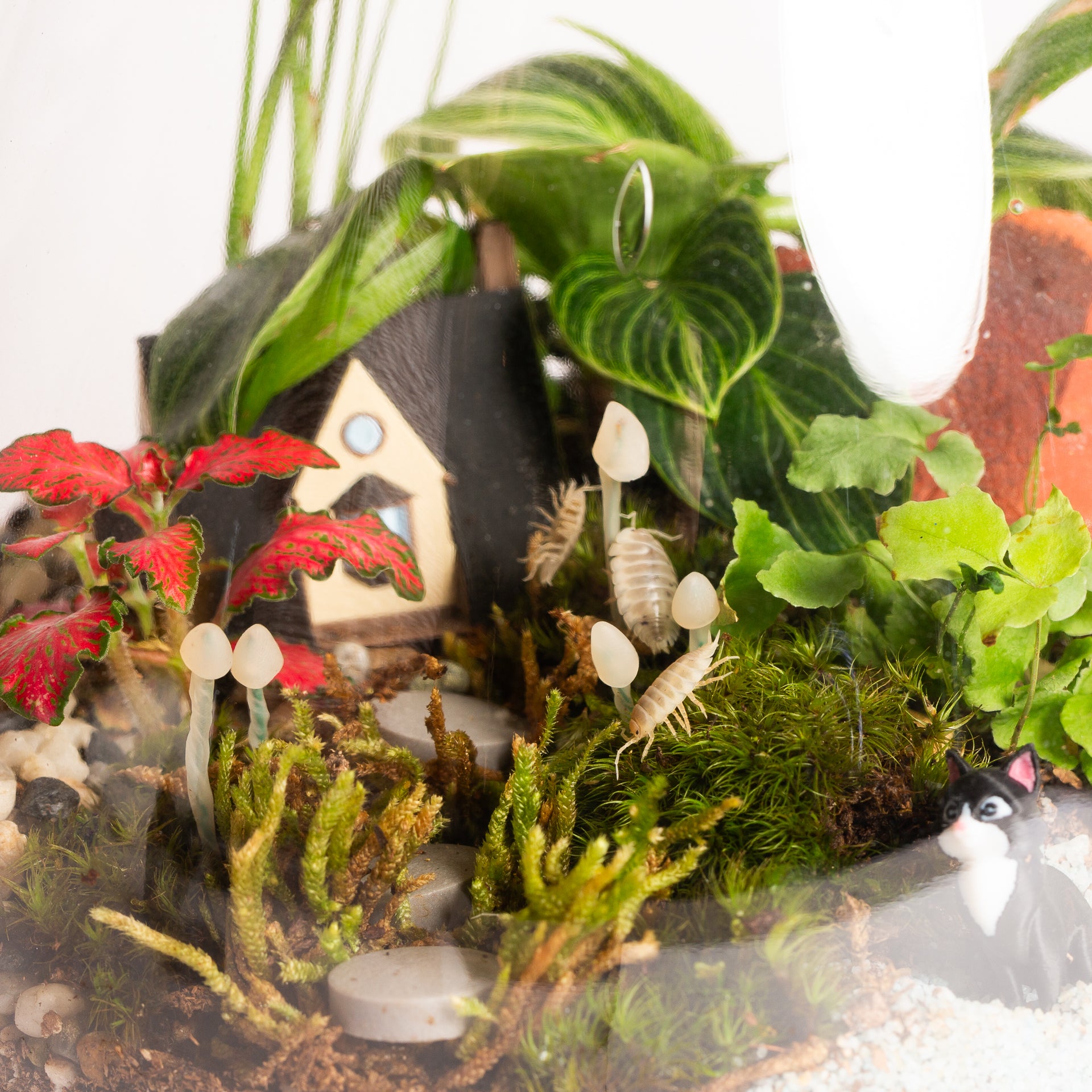2/27 @ 6:00 Isopod Terrarium Workshop - Urban Sprouts