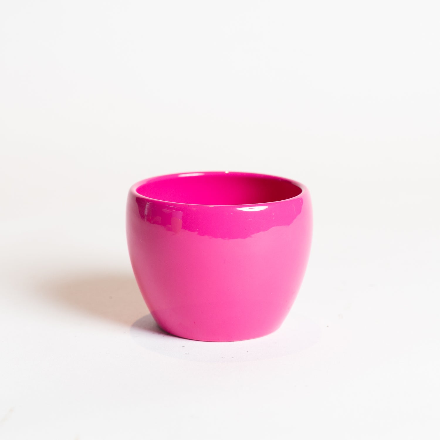 3" Pink Pixie Pot