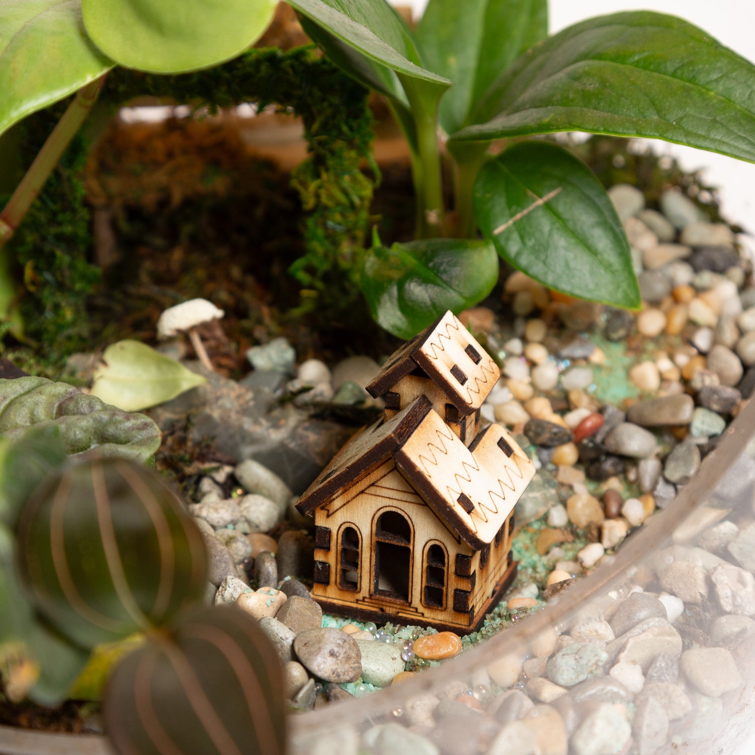 Terrarium Village House 1 - Urban Sprouts