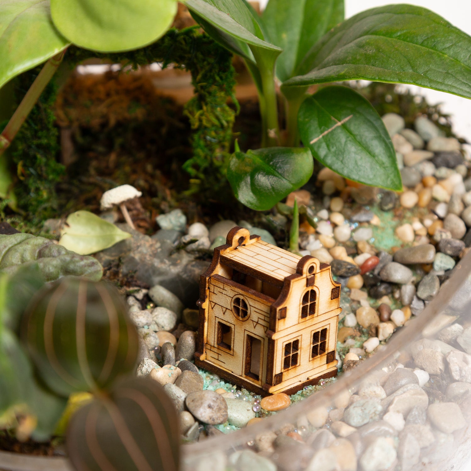 Terrarium Village House 2 - Urban Sprouts
