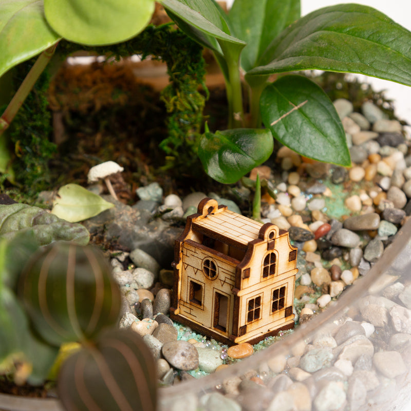 Terrarium Village House 2 - Urban Sprouts