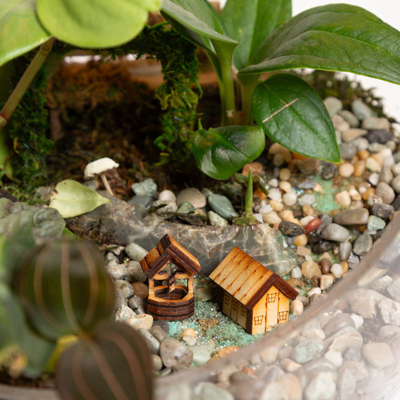 Terrarium Village Tiny Cottage - Urban Sprouts