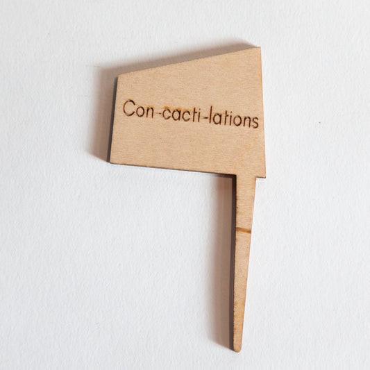 Mini Sign - Con-cacti-lations - Urban Sprouts