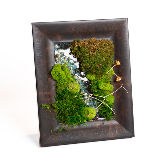 1/2 @ 6:00 No Maintenance Moss Frames Workshop