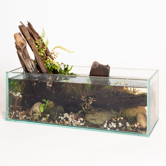 1/10 @ 6:00 Mini Desktop Water Gardens Workshop