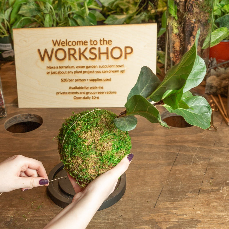 1/24 @ 6:00 Kokedama Workshop