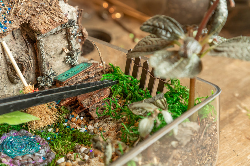 3/23 @ 2:00 Fairy Garden Workshop