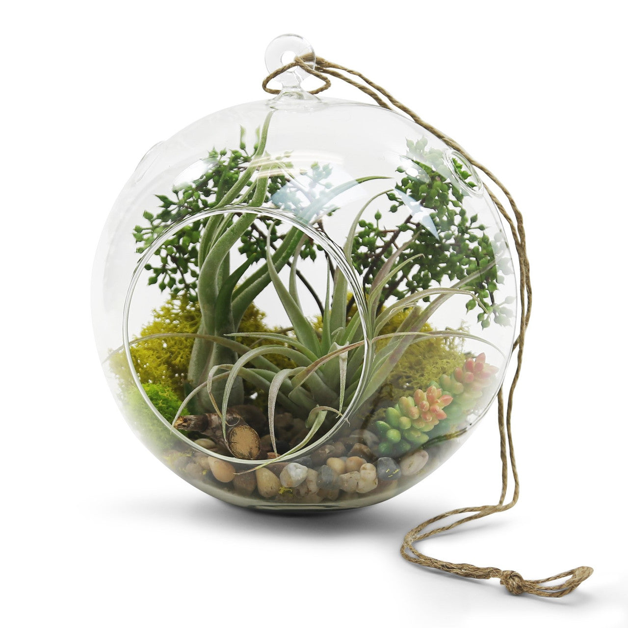 8" Hanging Round Terrarium Glass