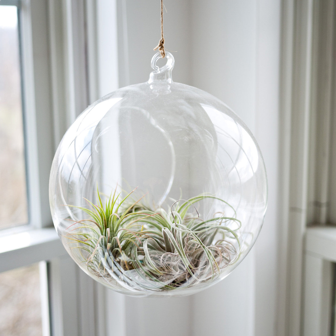 9" Hanging Round Terrarium Glass