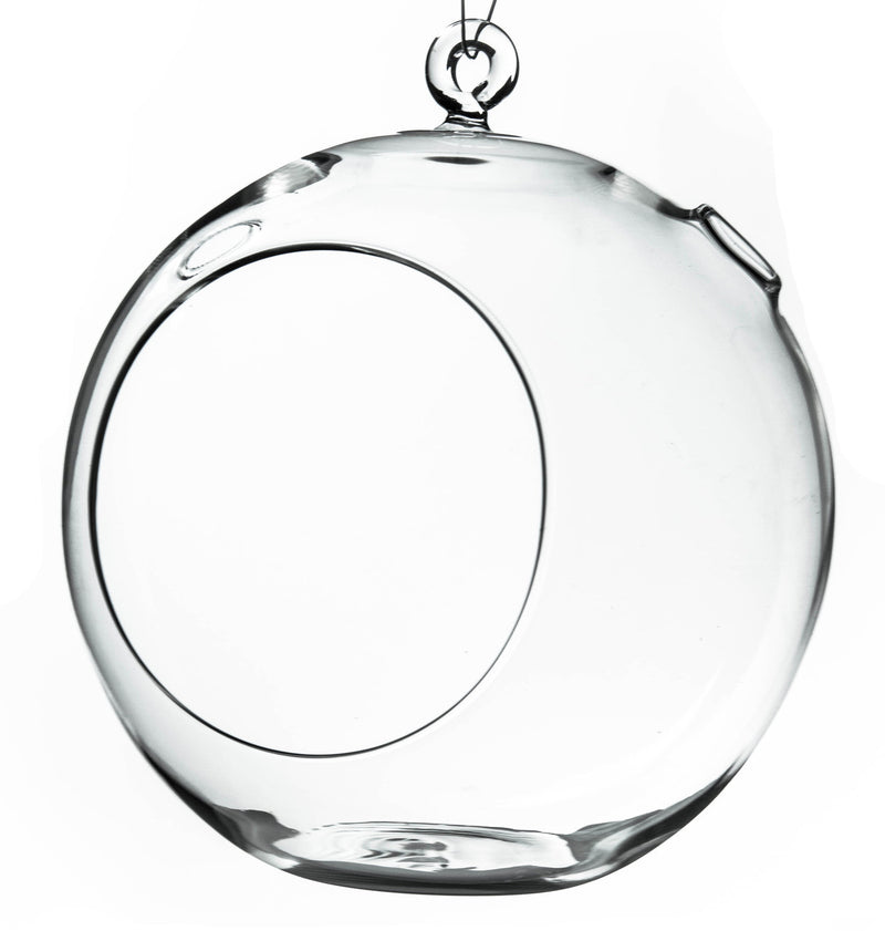 8" Hanging Round Terrarium Glass