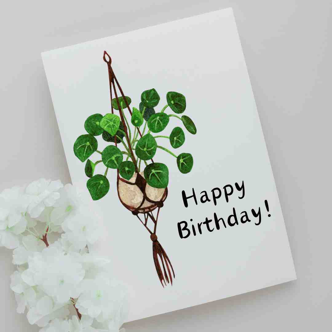 Hanging Pilea Happy Birthday - Blank Greeting Card