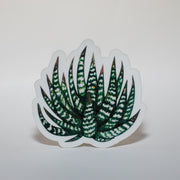 Haworthia Sticker