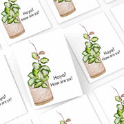 Hoya How Are Ya? - Blank Greeting Card - Urban Sprouts