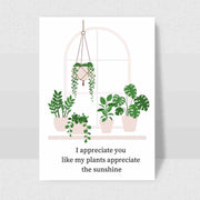 I Appreciate You Like My Plants Sunshine - Blank Greeting Card - Urban Sprouts