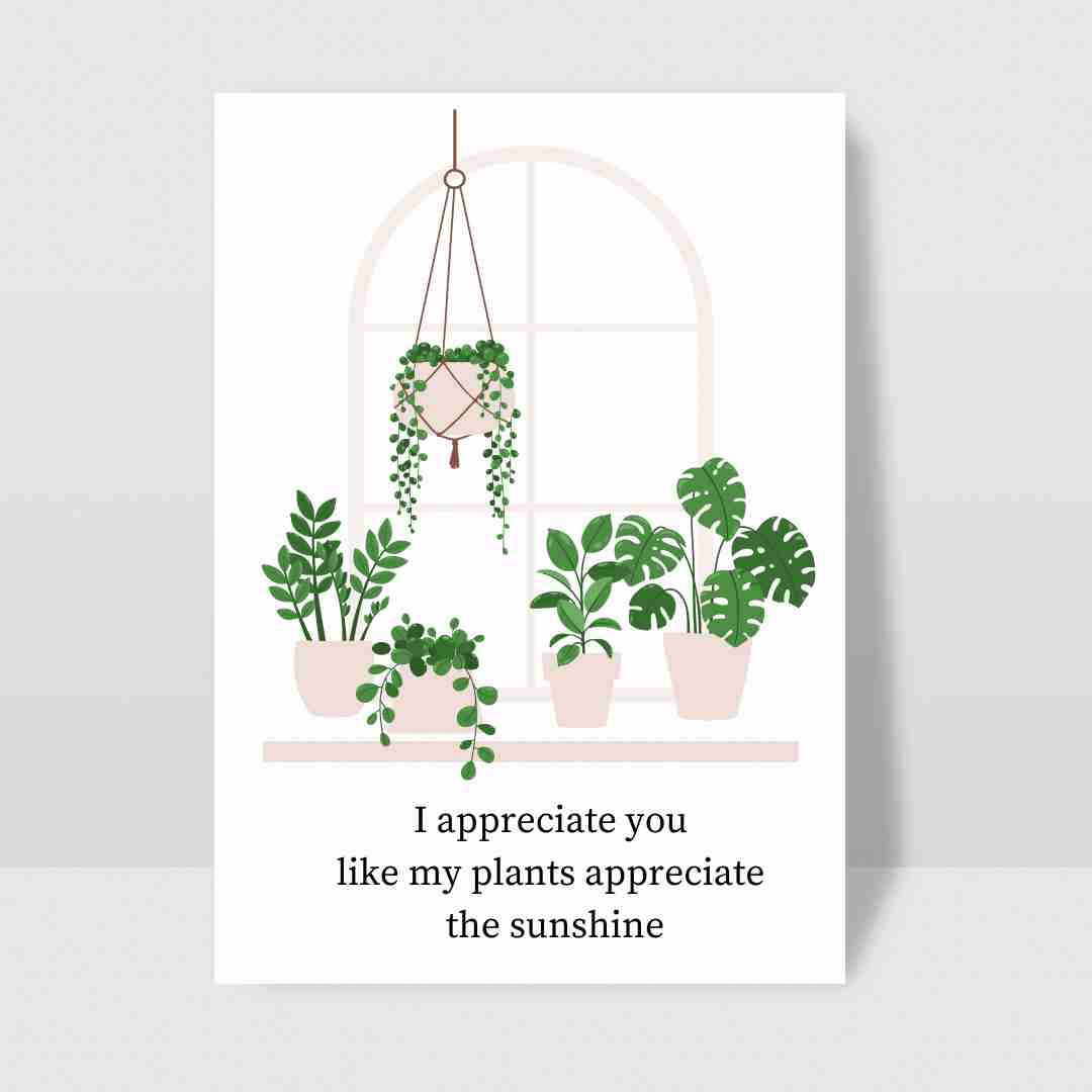 I Appreciate You Like My Plants Sunshine - Blank Greeting Card - Urban Sprouts