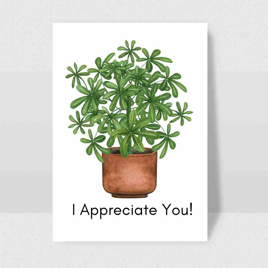 I Appreciate You Umbrella Tree - Blank Greeting Card - Urban Sprouts