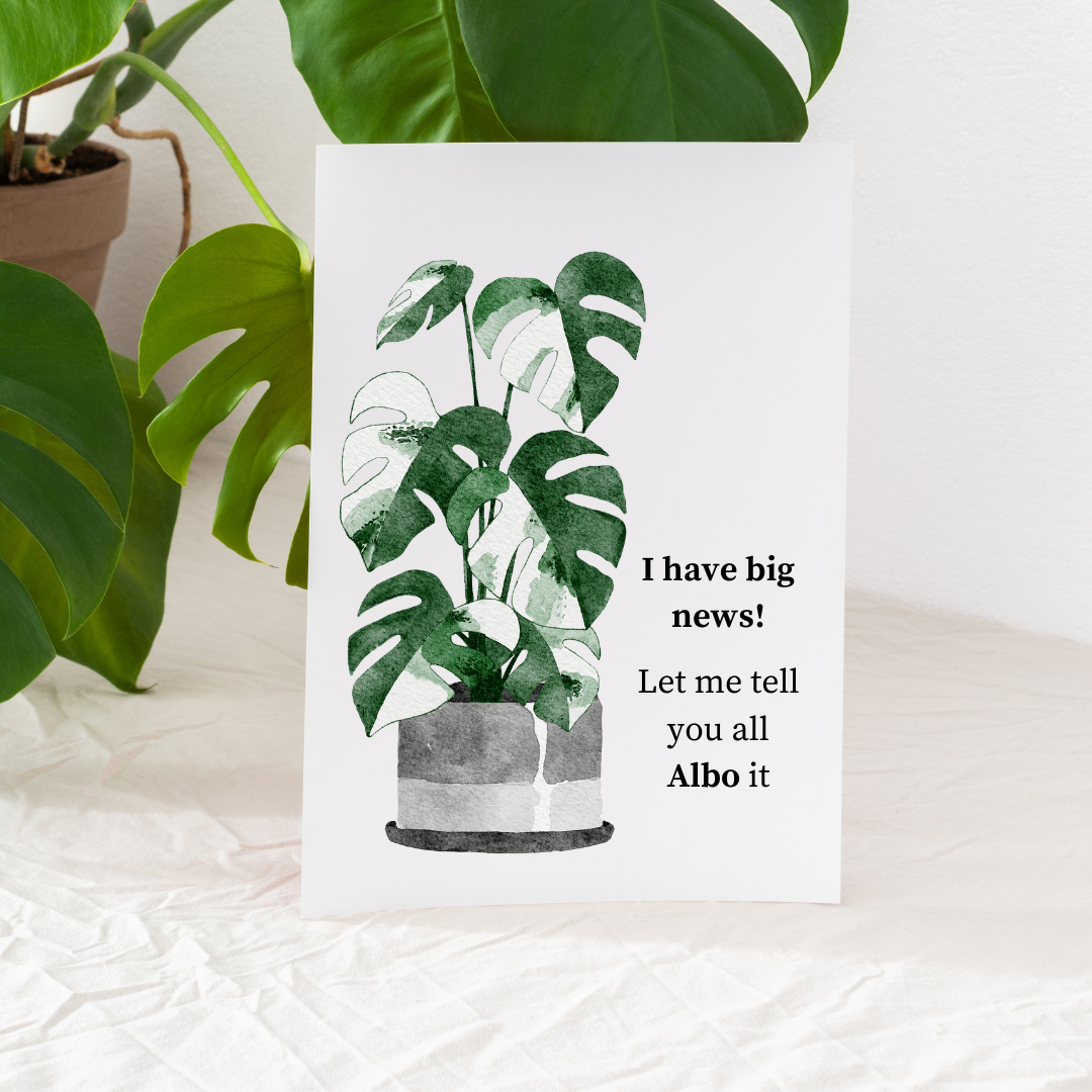 I Have Big News Let me Tell you Albo It - Blank Greeting Card - Urban Sprouts