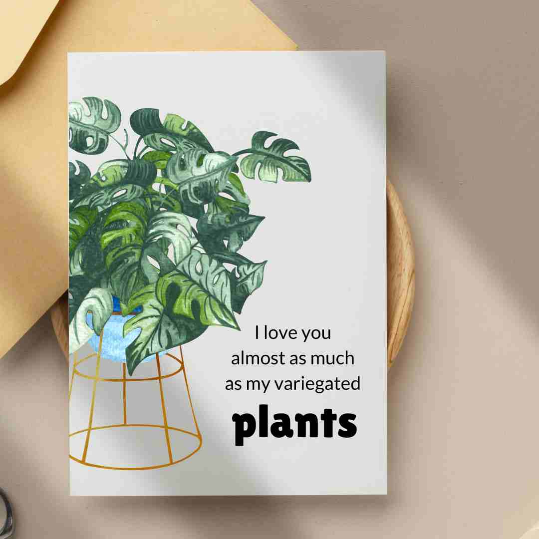I Love You Almost As Much As My Variegated Plants - Blank Greeting Card - Urban Sprouts