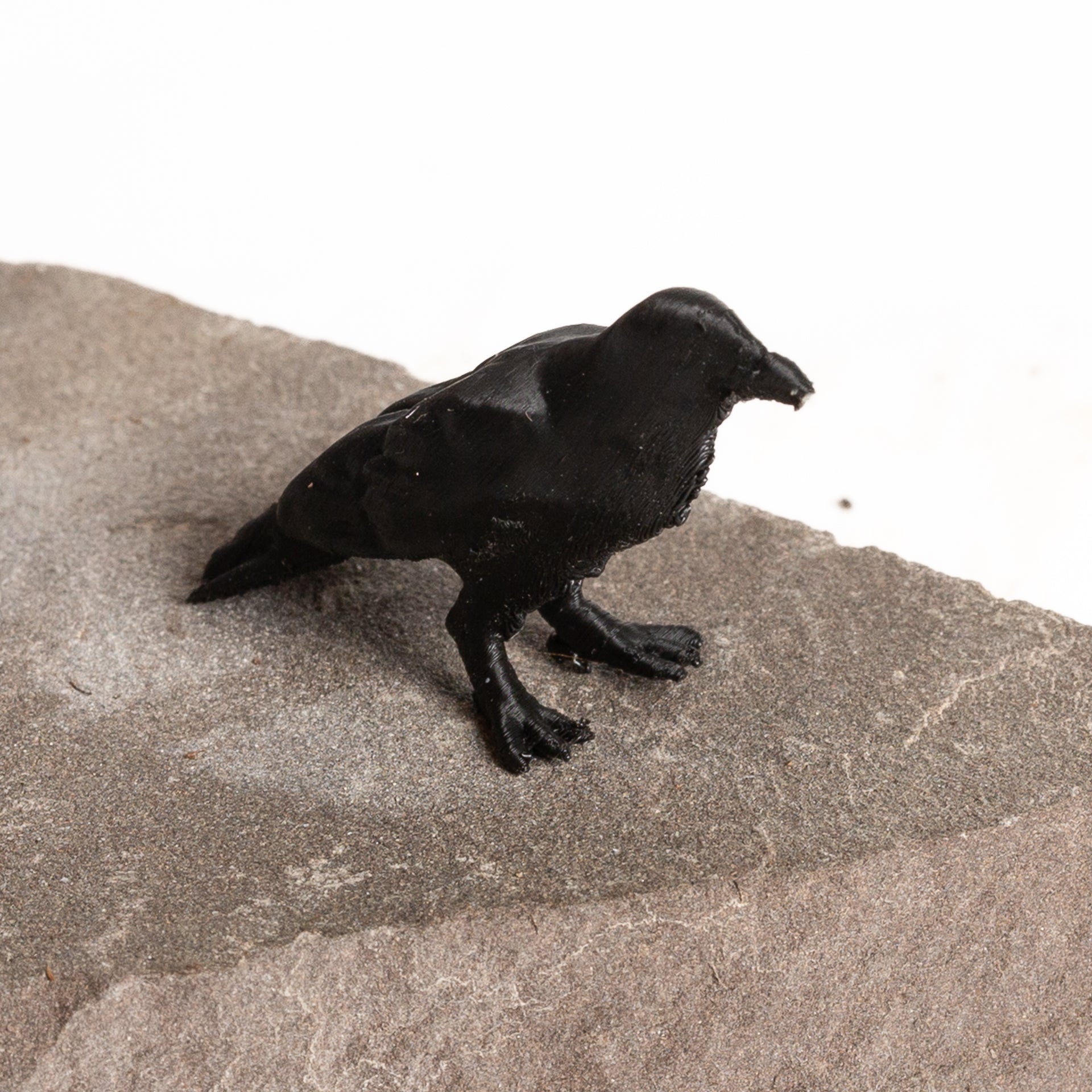 Ira the Raven - Urban Sprouts