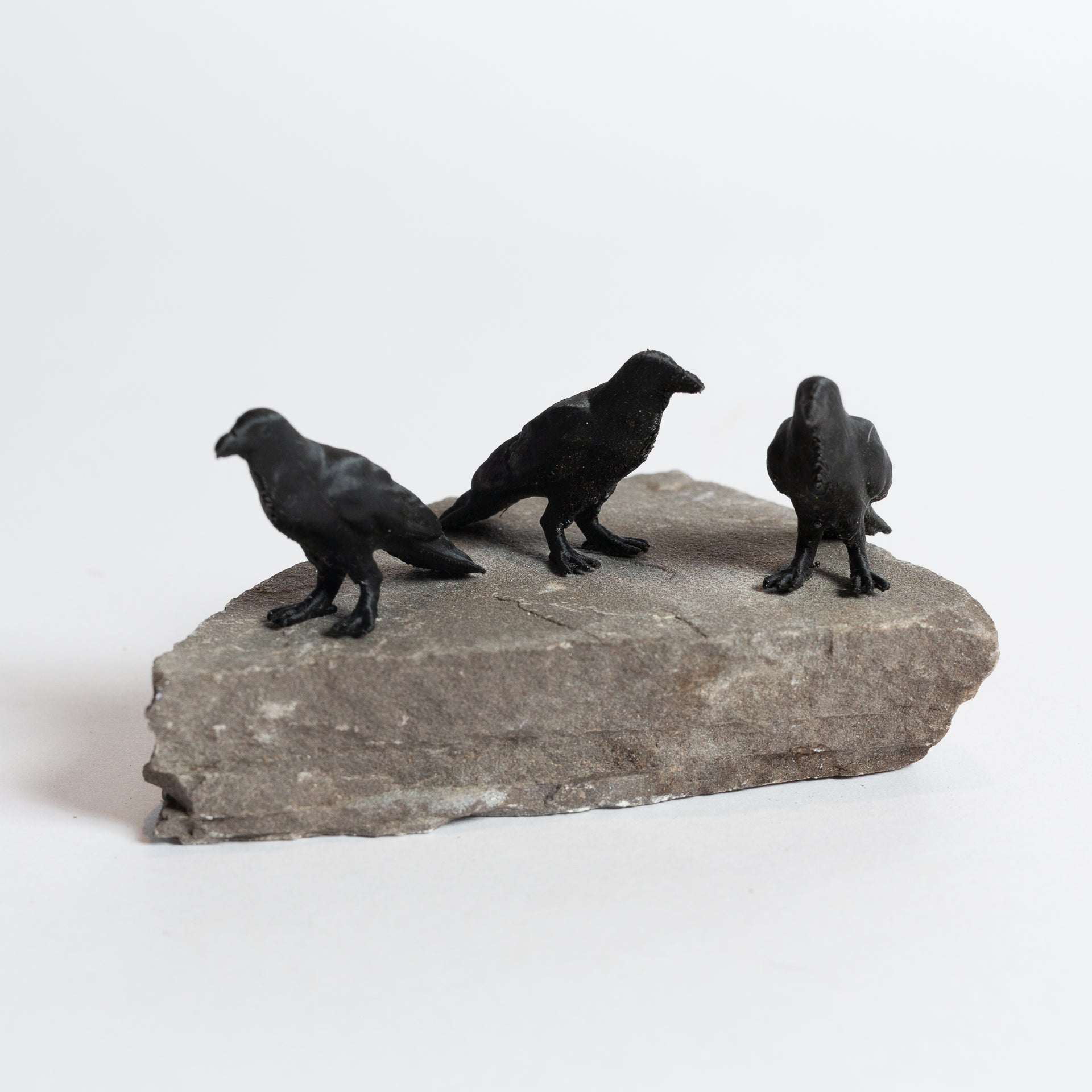 Ira the Raven - Urban Sprouts