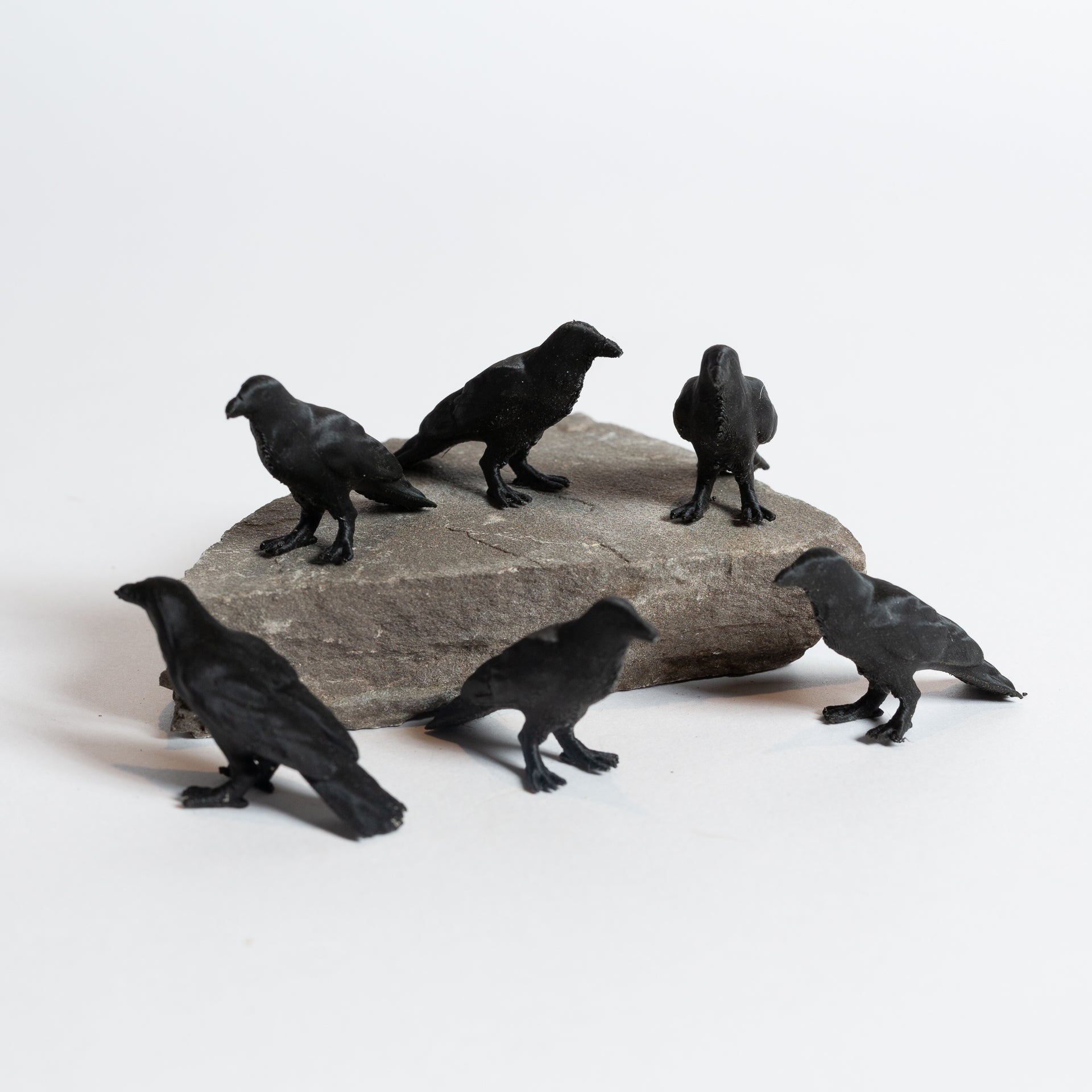 Ira the Raven - Urban Sprouts