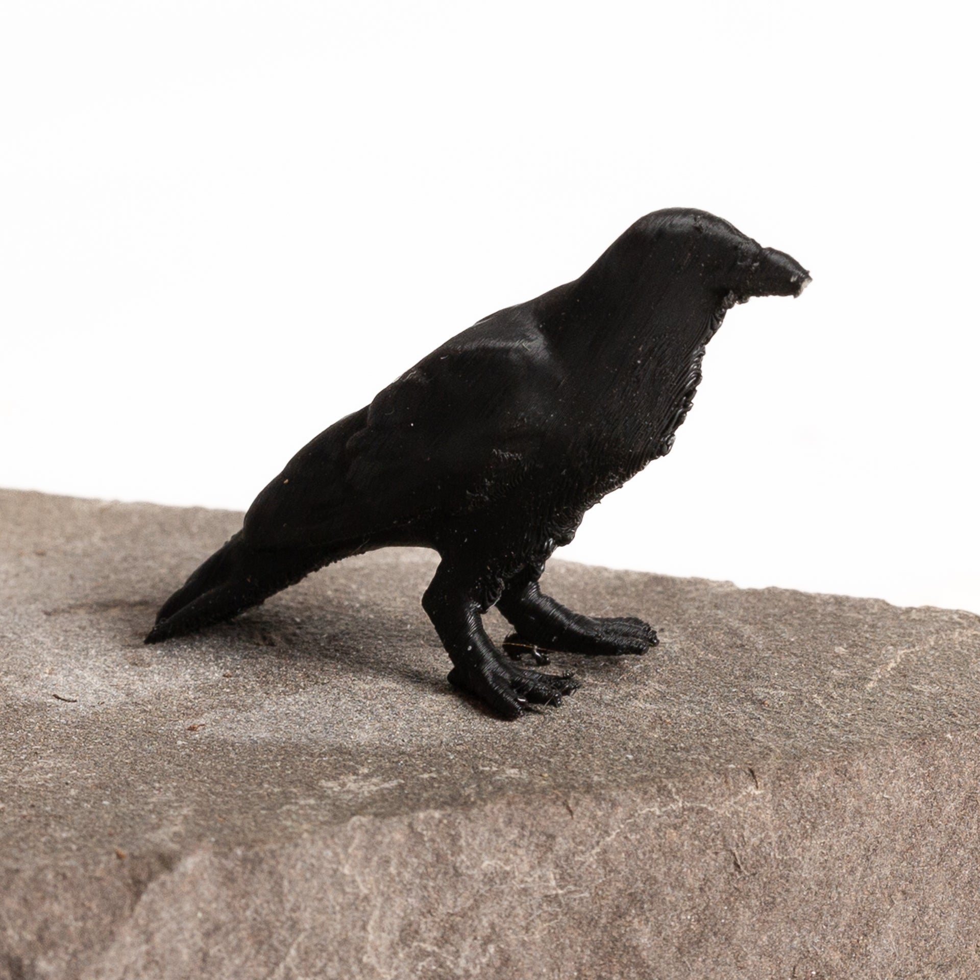 Ira the Raven - Urban Sprouts