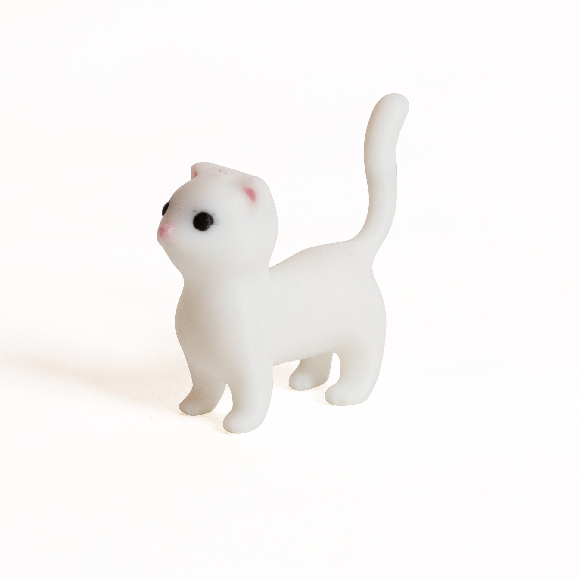 Urban prints "Kat the Ferret" - Urban Sprouts