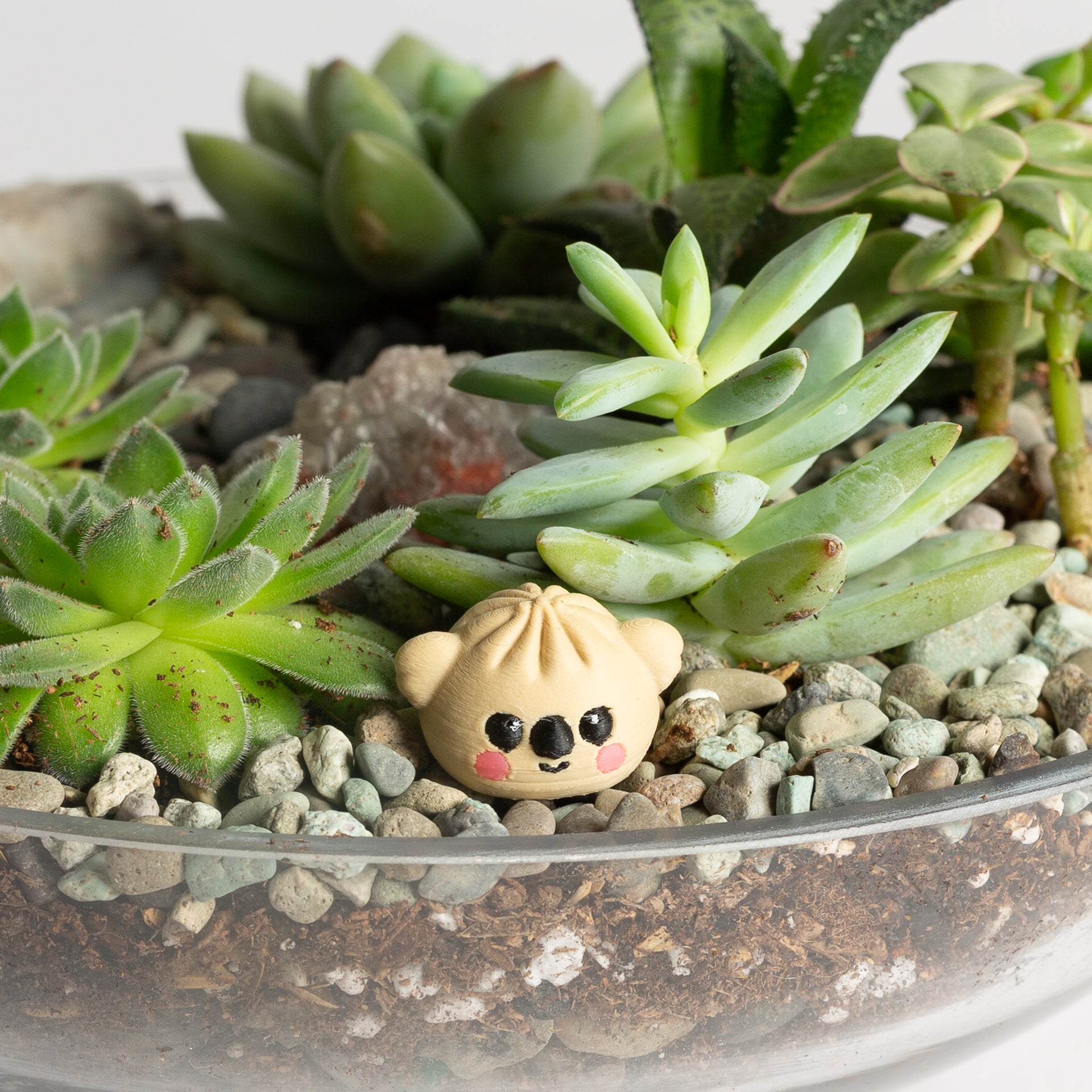 Koala Bao Bun - Urban Sprouts