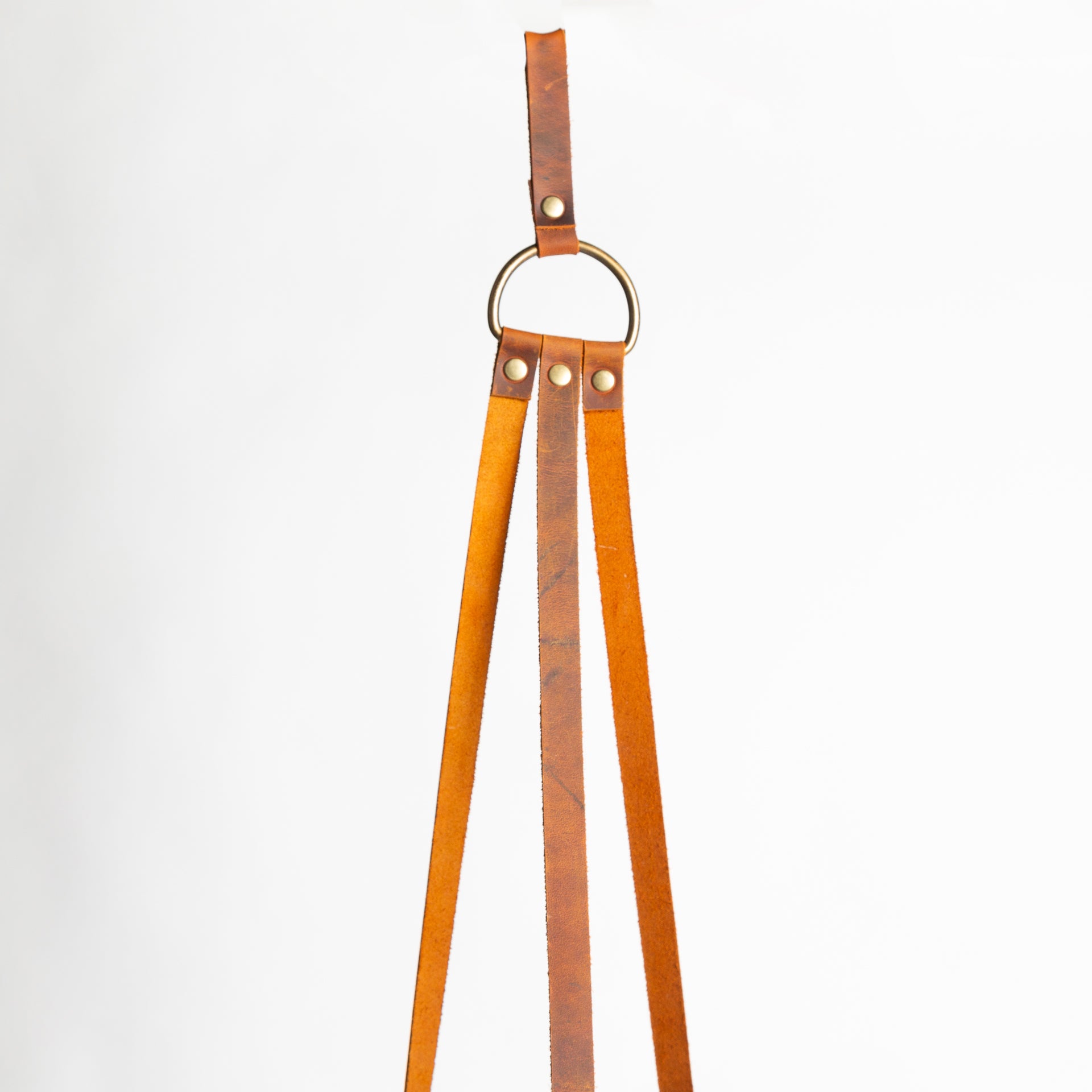 Leather Plant Hangers - Urban Sprouts