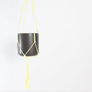 Macrame Plant Hanger - Lemon Yellow 36" - Urban Sprouts