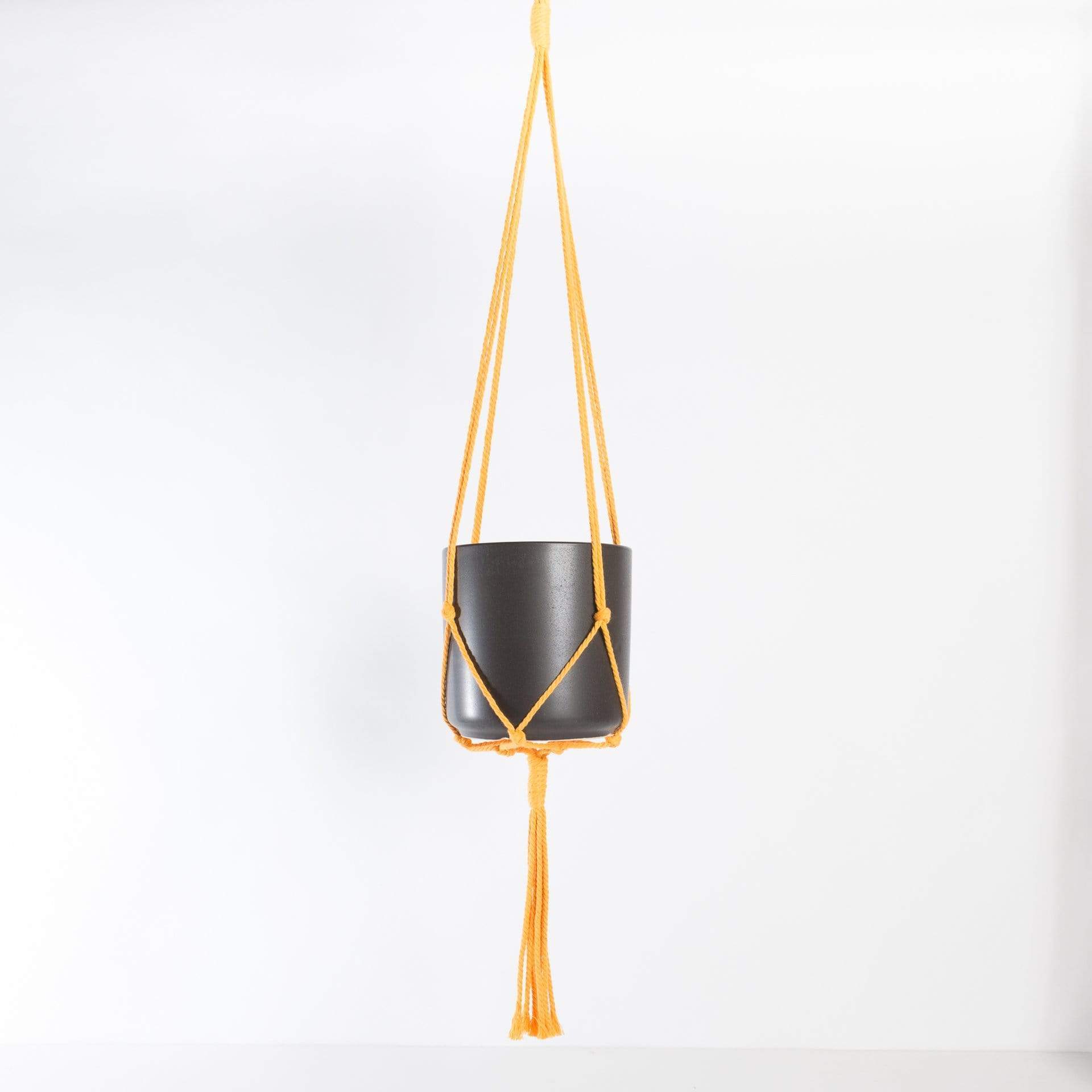 Kytras Keepers Hanger 36" Mustard Yellow Minimalist Cotton Macrame Plant Hanger