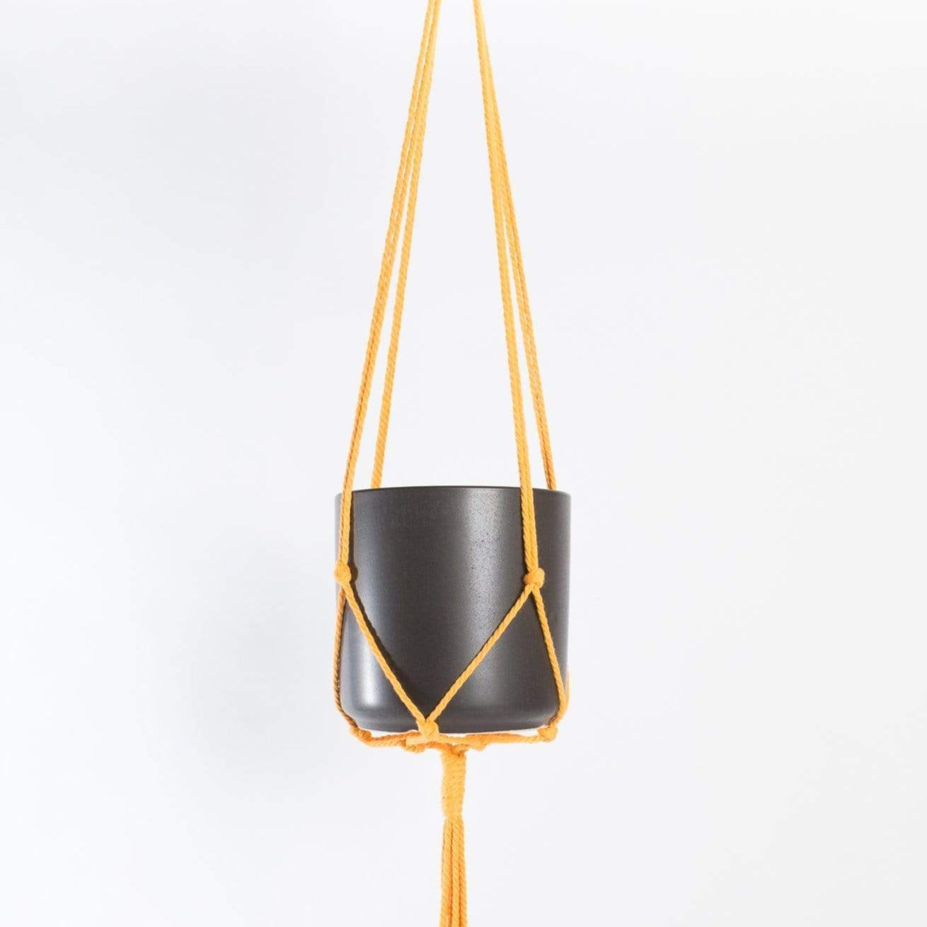 Macrame Plant Hanger - Mustard Yellow 36" - Urban Sprouts