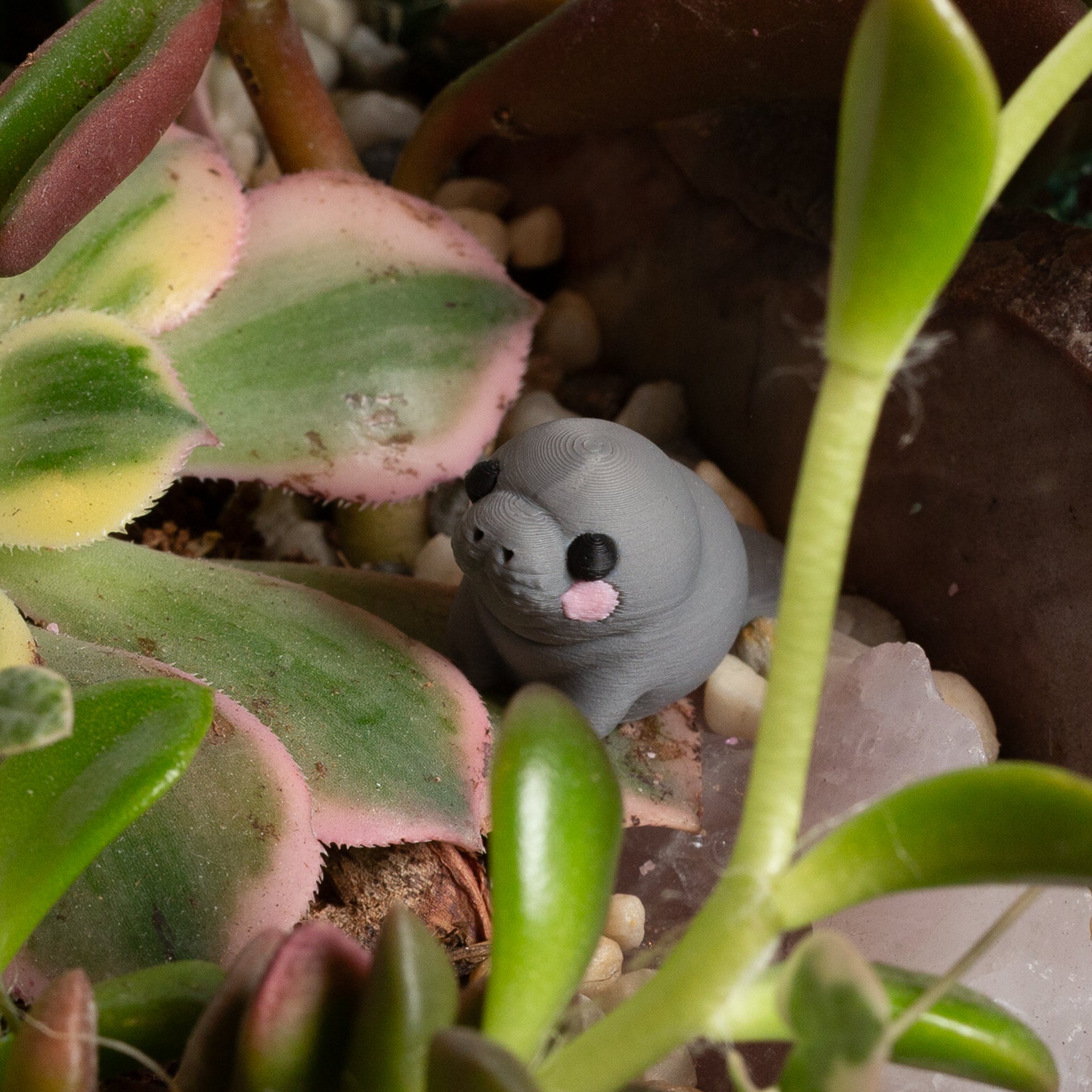 Urban prints "Malibu the Manatee" - Urban Sprouts