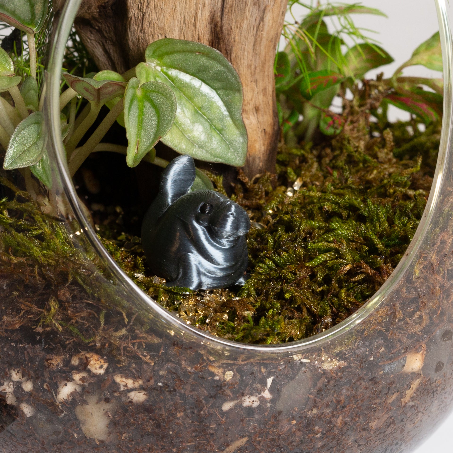 Matt D. The Shiny Manatee - Urban Sprouts