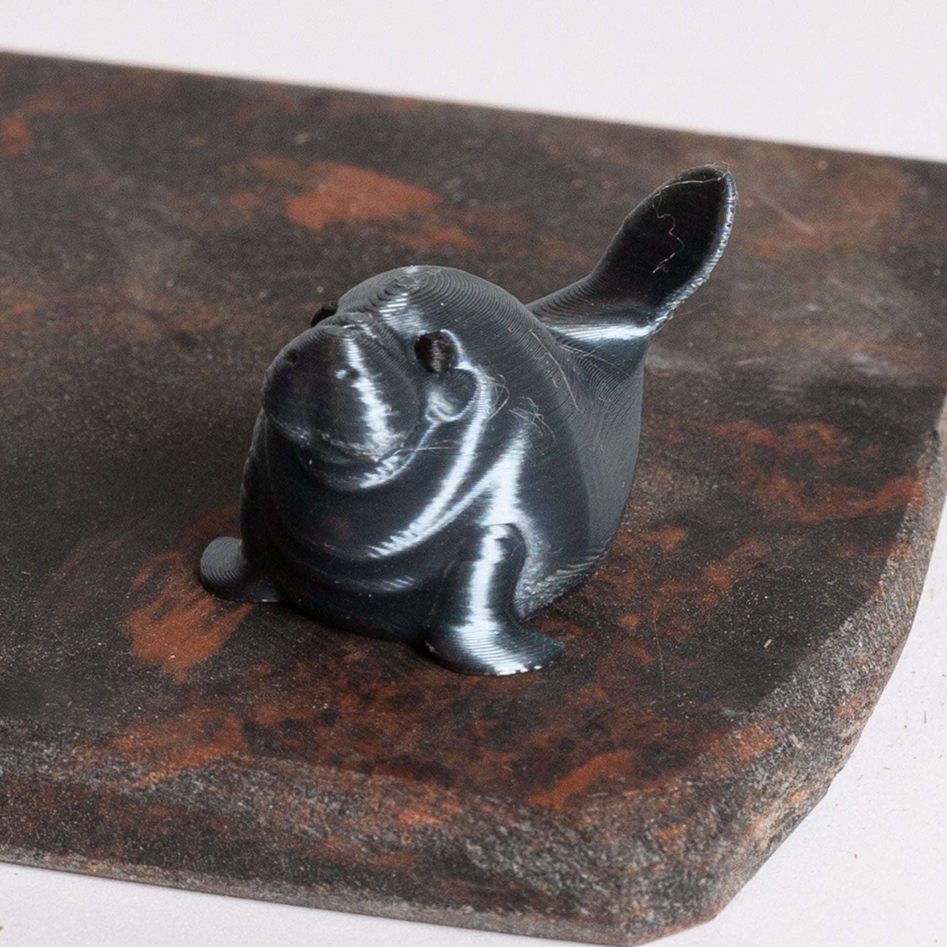 Matt D. The Shiny Manatee - Urban Sprouts