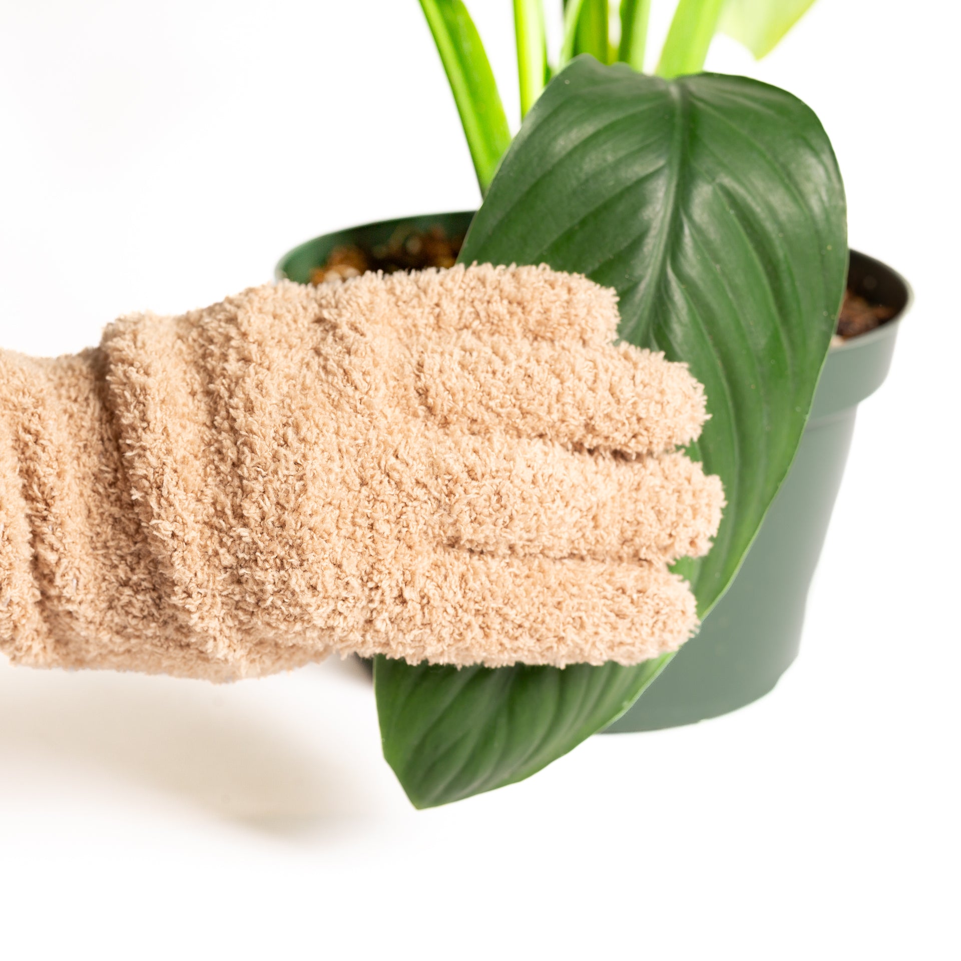 Microfiber Leaf Polishing & Dusting Glove - Urban Sprouts