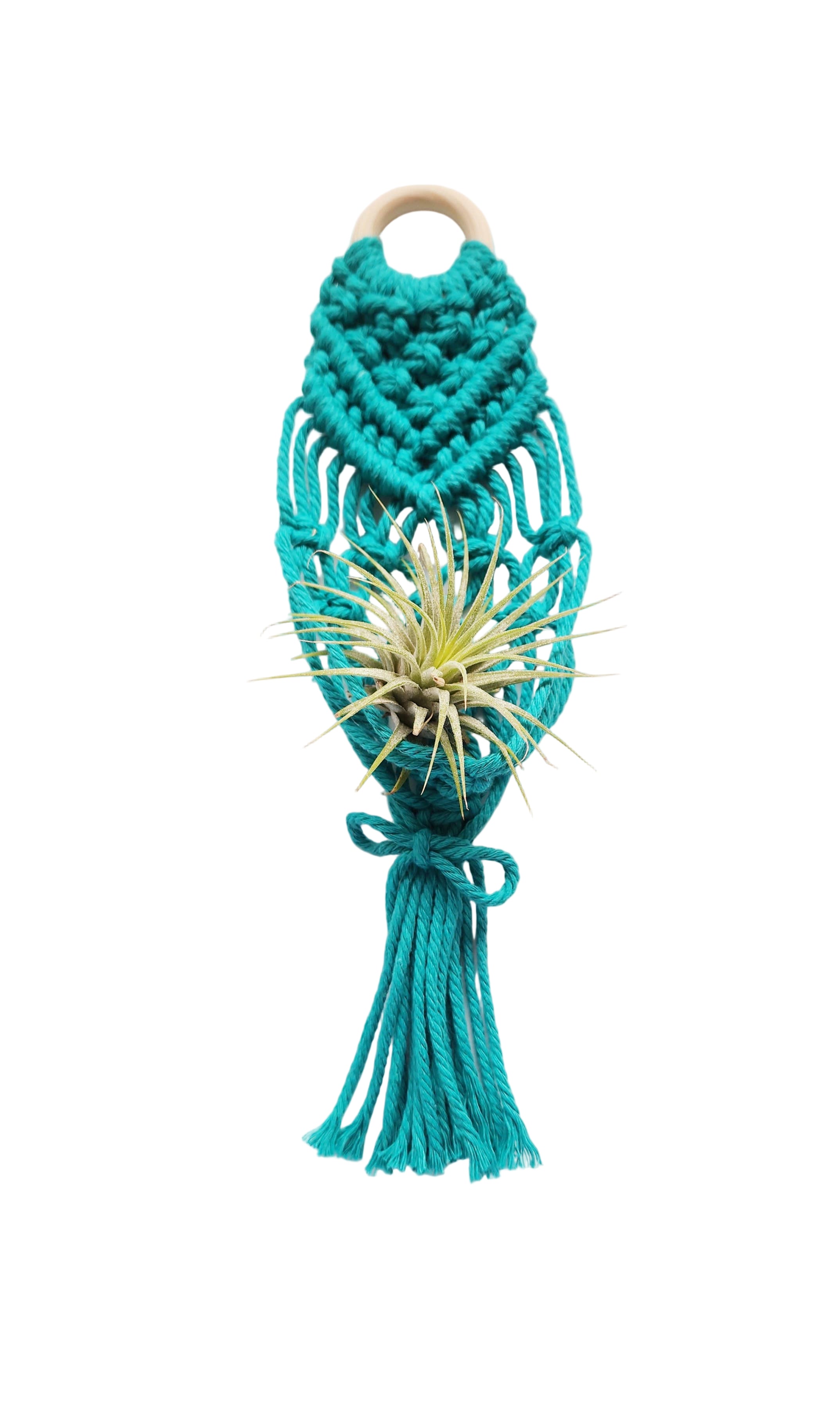 Mini Air Plant Hanger: Aquamarine - Urban Sprouts