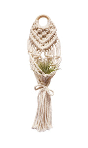 Mini Air Plant Hanger: Cream - Urban Sprouts