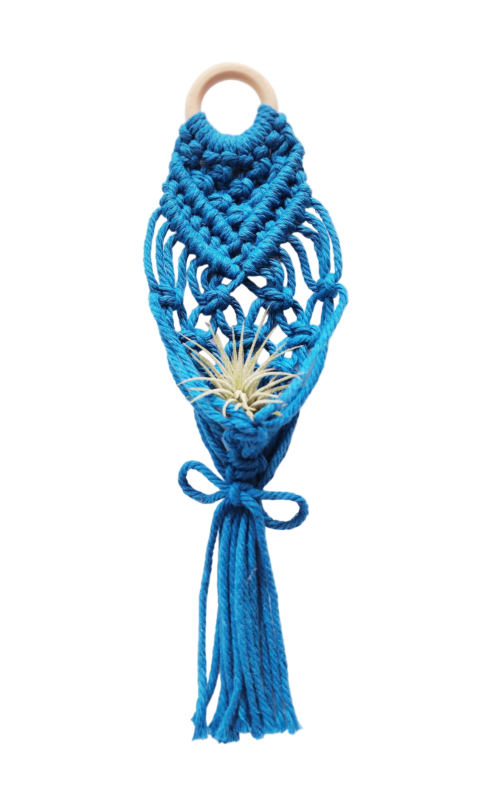 mini air plant holder Mini Air Plant Hanger: Ocean Blue – Urban Sprouts